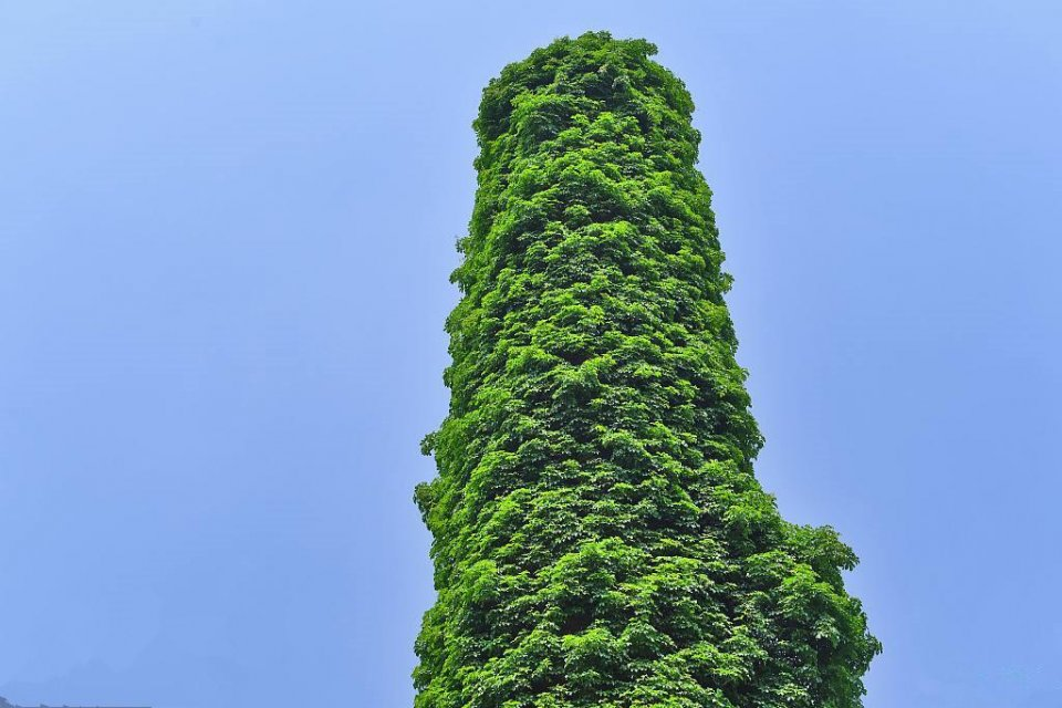 窑厂烟囱 窑厂烟囱